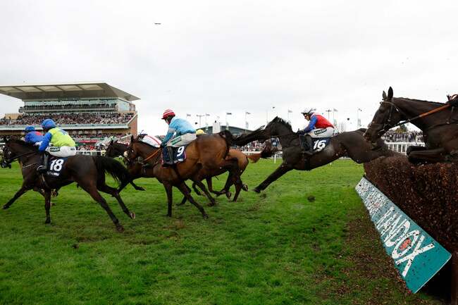 Get On George becomes second horse to die at 2026 Aintree Festival