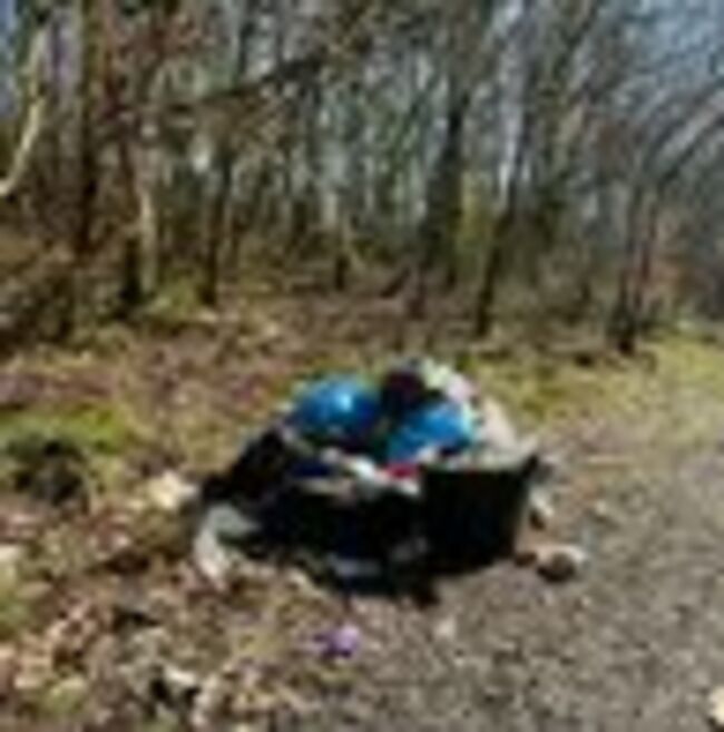 ‘Disgust’ as flytipping blights Wigan’s ‘jewel in the crown’