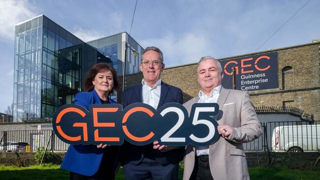 GEC start-ups made €140m in revenues last year