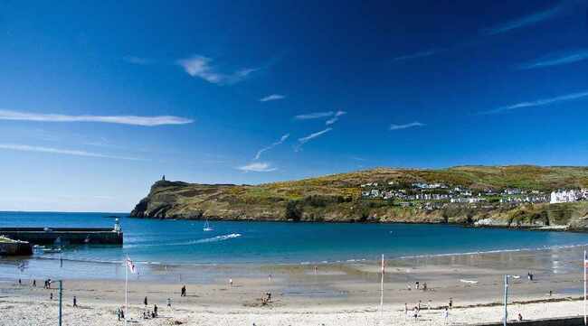 Dog ban on four popular beaches from today