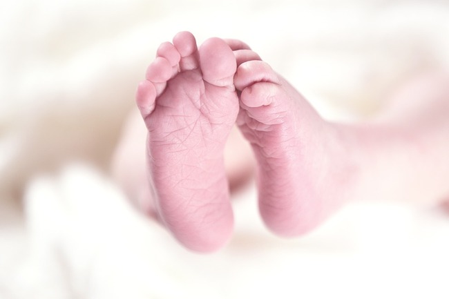 Total of 49 babies born last month