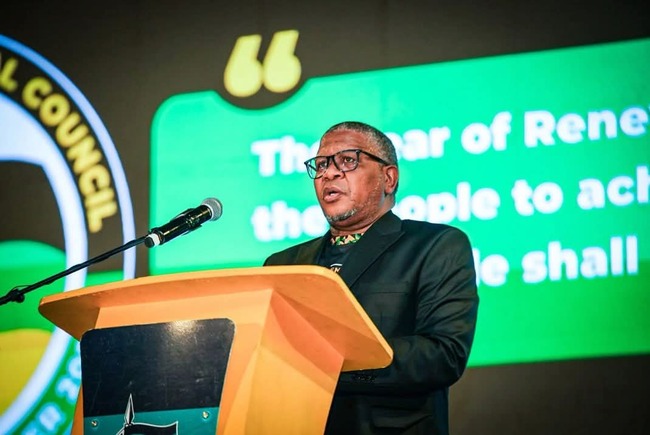Mbalula on the ropes over collapse of ANC processes