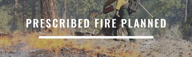 Prescribed Burning Tuesday For Pine Mountain Area