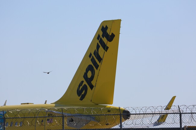 Democrats’ fingerprints are all over the Spirit Airlines crime scene