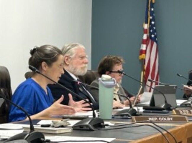 Bill would forbid NH towns from enacting regulations specific to data centers