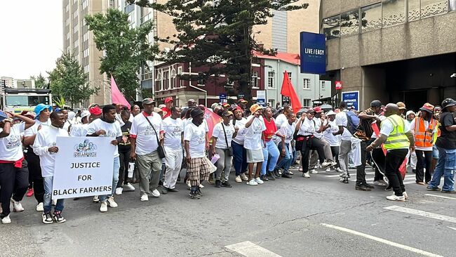ILF’s Norma Mbatha and Deputy Minister Nonceba Mhlauli in showdown over black farmers’ plight