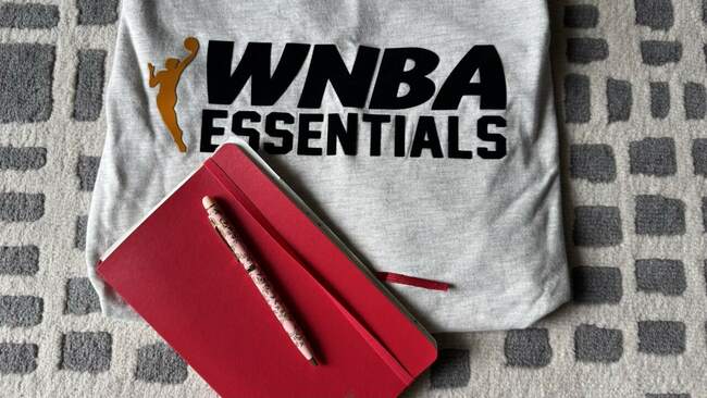 Diary of a WNBA negotiator
