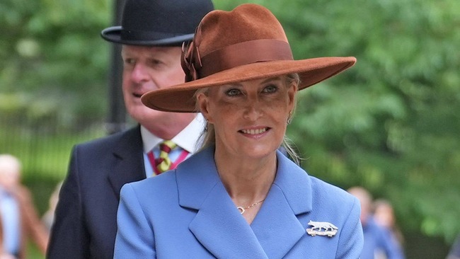 Duchess Sophie stuns in most cinched Cinderella dress - and animal print bag