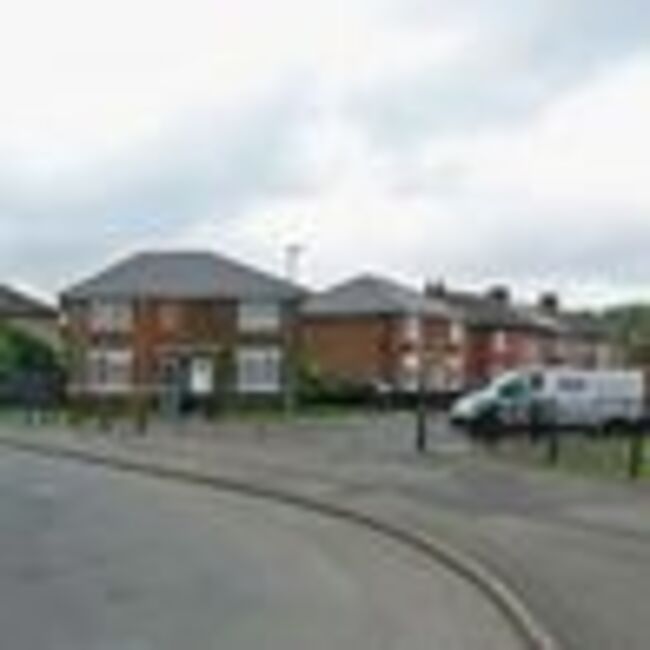 Child, 4, among four attacked by dog as police arrest boy, 15, and two others