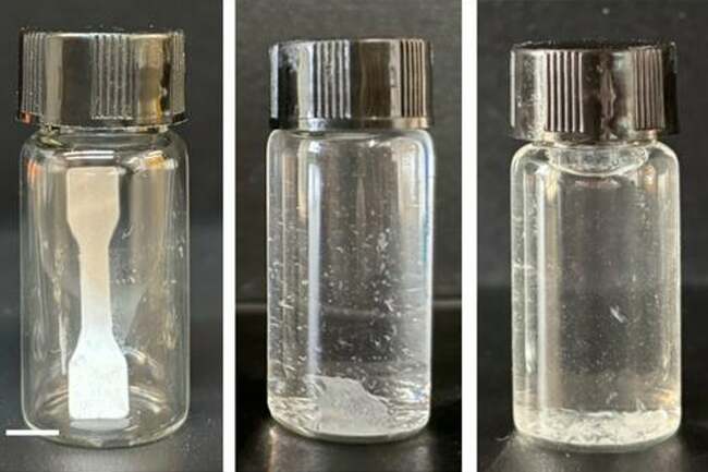 Chinese scientists create self-destructing ‘living plastic’