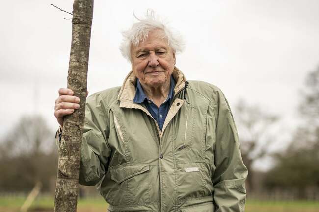 RHS Chelsea Flower Show celebrates Sir David Attenborough’s 100 years with plants for each decade