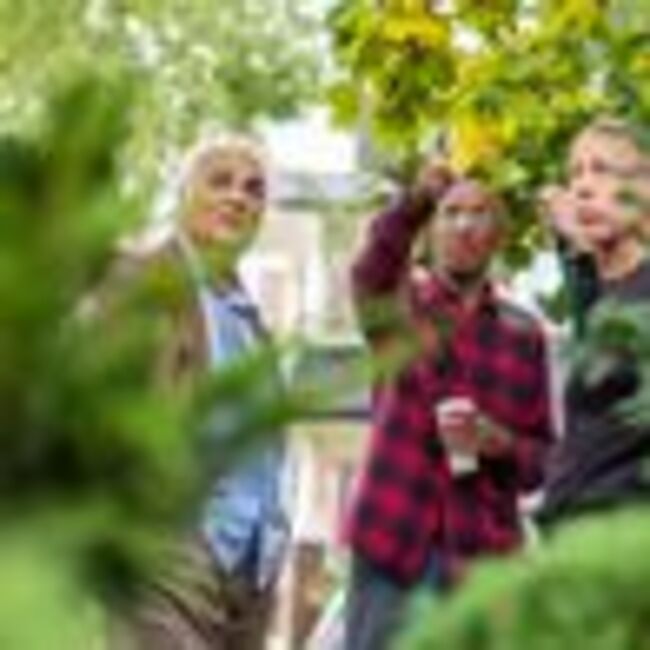 Lawyer explains little-known rule allowing neighbours to claim your land