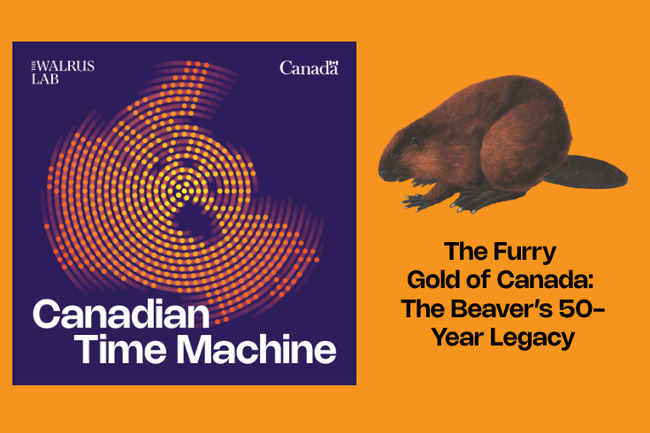 The Furry Gold of Canada: The Beaver’s 50-Year Legacy