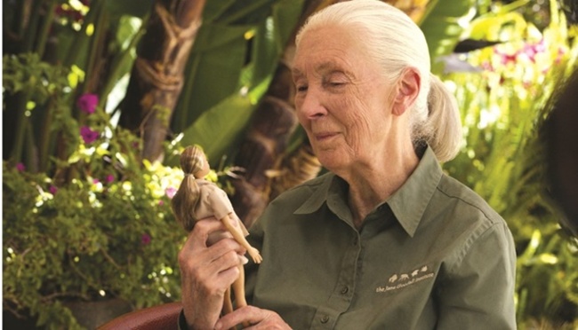Jane Goodall gets Barbie doll in her likeness