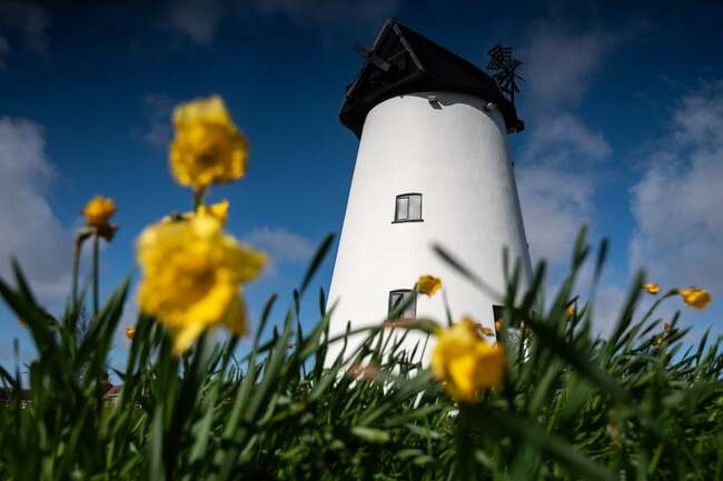 £70,000 project to restore Blackpool's historic Little Marton Windmill to looking its best