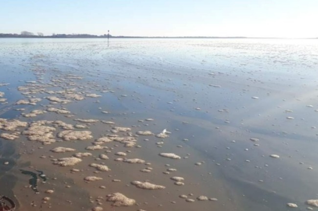 Warm temperatures raise algal bloom risk in rivers and coastline