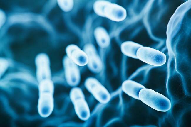 Likely source of Legionnaires’ disease outbreak in New York identified as visitors are urged to watch for symptoms