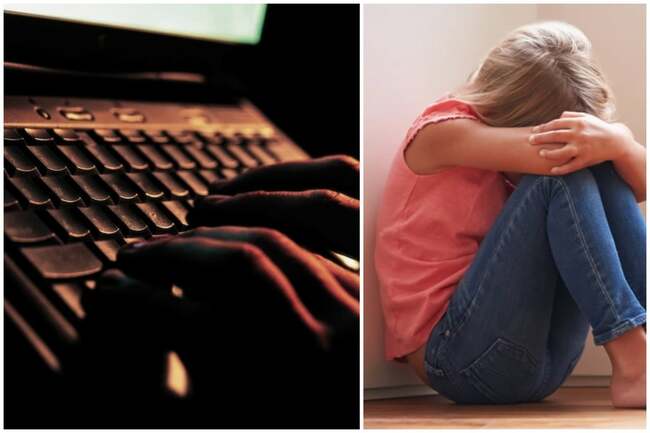 Pudsey paedophile spent years collecting sick abuse images, court told