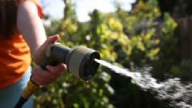 Anglian Water hosepipe ban for UK's driest region
