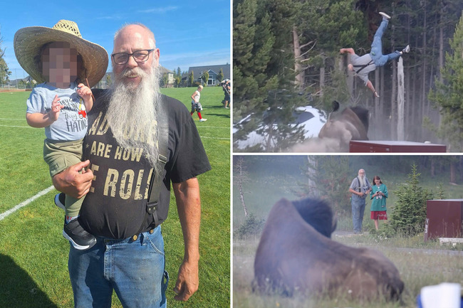 Yellowstone visitor flung into the air by bison identified as grandfather who immediately laughed it off
