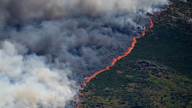 Spain declares national emergency due to wildfires near Madrid, Avila
