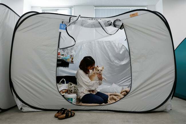 Animal hospital opens makeshift shelter for evacuees seeking refuge after Japan earthquake