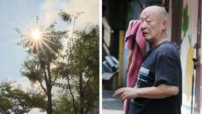 Record heatwave in South Korea as temperatures soar to 42.5C
