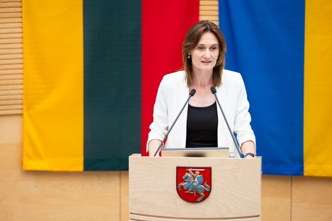 Čmilytė-Nielsen neatmeta idėjos kandidatuoti į prezidentus
