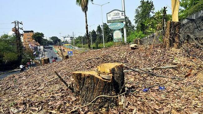 KBR petitioners deny making any complaint to CEC