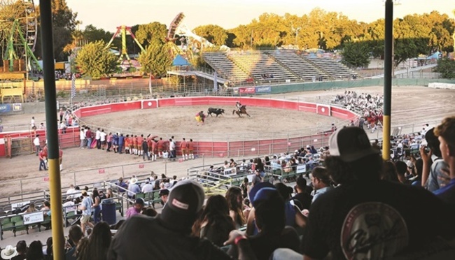 US community keeps bullfighting alive without bloodshed