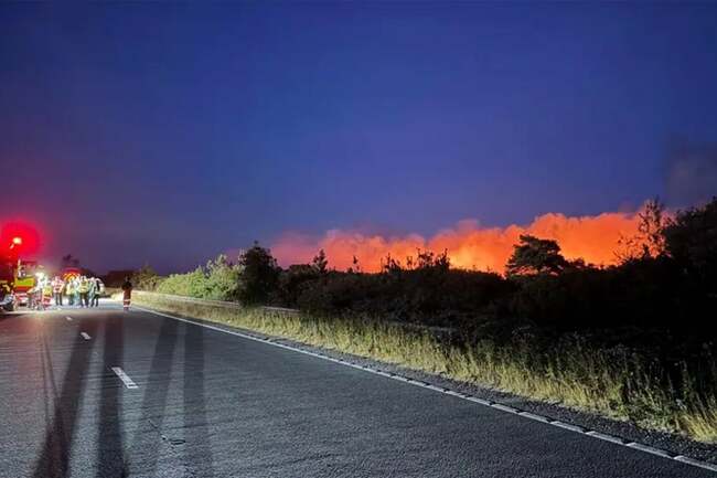 A31 closed as firefighters tackle ‘devastating’ New Forest blaze sparked by vehicle fire