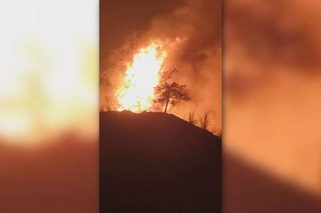 Animal sanctuary among evacuees of Summerland wildfire