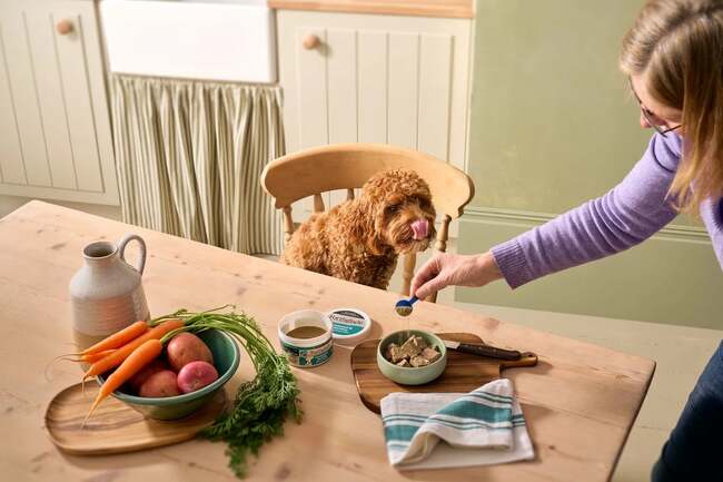 Dog owners can get 40% off pet food before surprise rewards begin