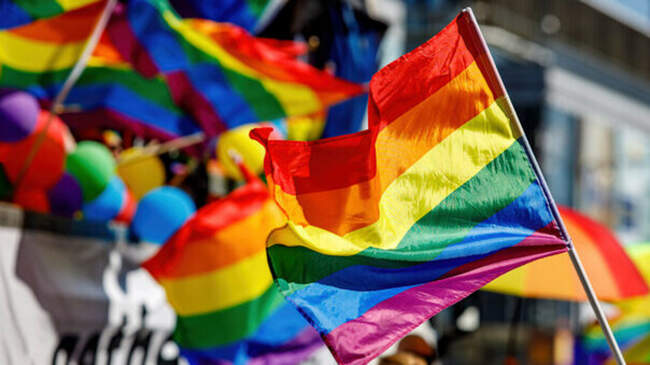 ‘We’re cheering on CMAT like Ireland’s in the World Cup’ – Meath Pride on advocacy, supports and upcoming festival