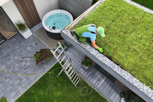 This green hack can help cool down cities during heatwaves — but many don’t survive