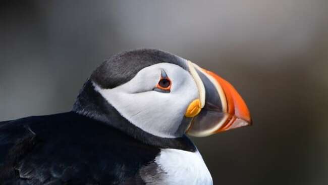 Animals and humans alike are enjoying the outdoors in this week's audience photo gallery