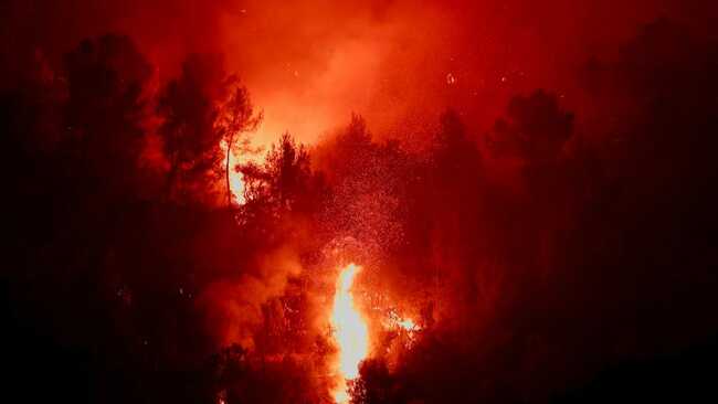 Germany's Gey village evacuated due to raging wildfire near Belgian border