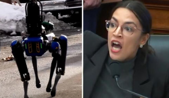 NYPD Puts Down Robot Dog After Backlash?