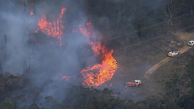 Firefighters tackle bushfire on NSW Central Coast