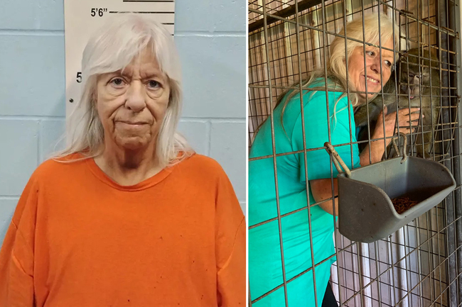 Missouri foster mom accused of trading teen for monkey avoids prison