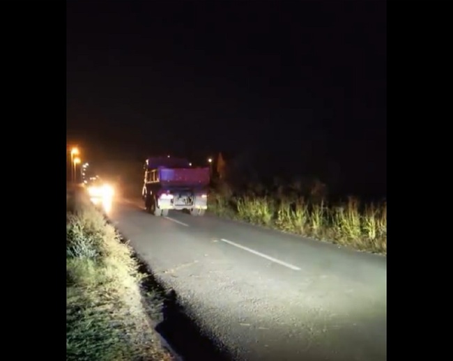 Morali su da ga uspavaju da ne bi umro u strašnim mukama: Potresan prizor kod Niša, konj brutalno stradao
