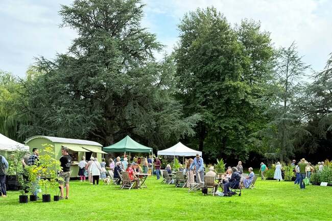Plants breeders bring ‘gold’ to Sussex shows this September