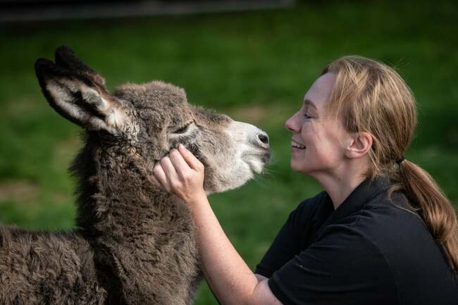 9 adorable pics of two day old foal at Fleetwood's Farmer Parrs Animal World as a naming competition starts