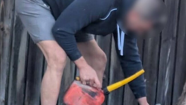 A petrol can, a drill and six dead trees: Sydney tree vandal avoids conviction