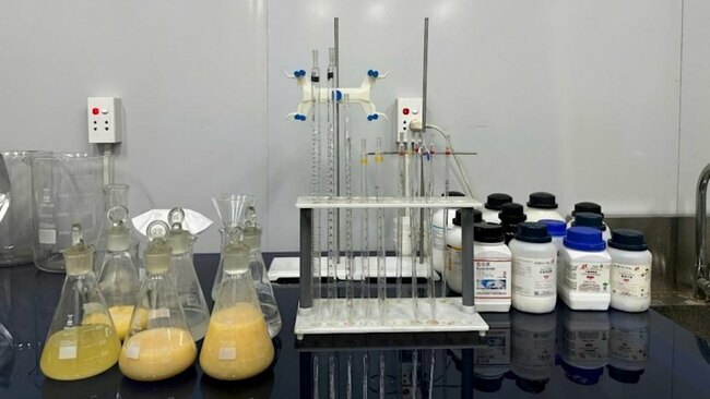 WA Jupiter giant repeats 58% rare earths carbonate trick for Critica