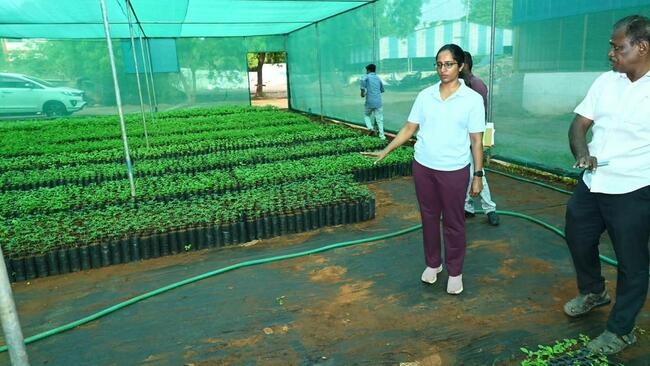Tiruchi Corporation to set up nurseries in four zones for greening drive