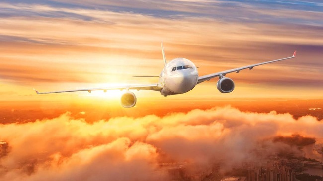 Another low-cost airline files for bankruptcy protection