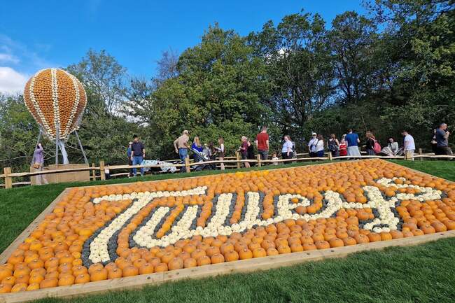 I went to Europe's largest pumpkin festival right here in West Sussex – dates, times and prices