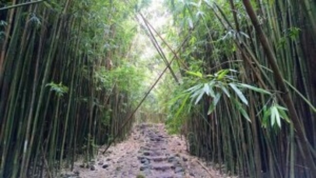Maui firefighters rescue male visitor, 33, injured while hiking Pīpīwai Trail in East Maui