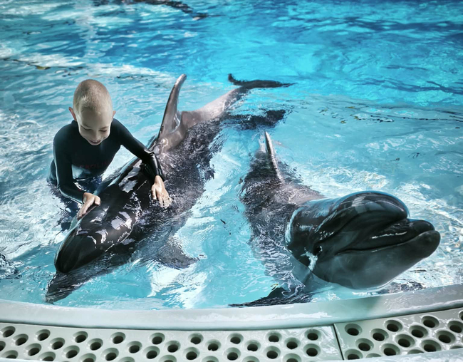 Naujos patirtys Panevėžio rajono mokiniams: nuo pažinties su delfinais iki pirmųjų plaukimo įgūdžių